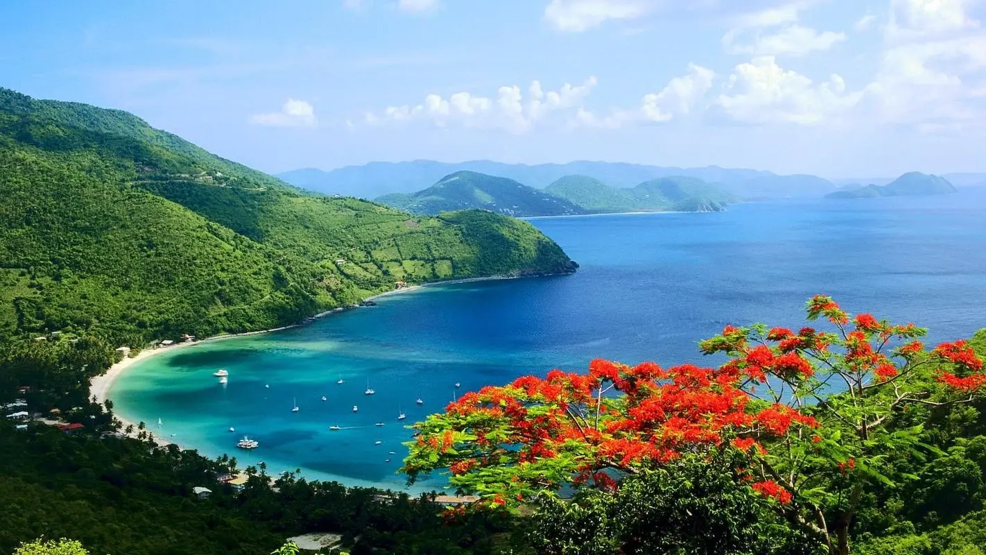 高精度智能新型